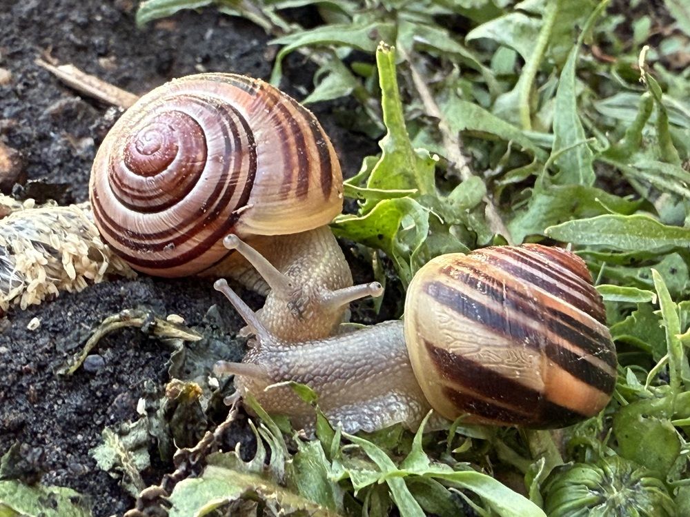 Photograph by Ольга Осинина