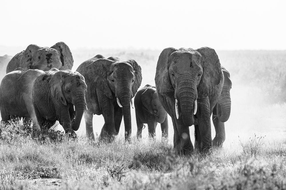 Photograph by Nikolay Slutskiy