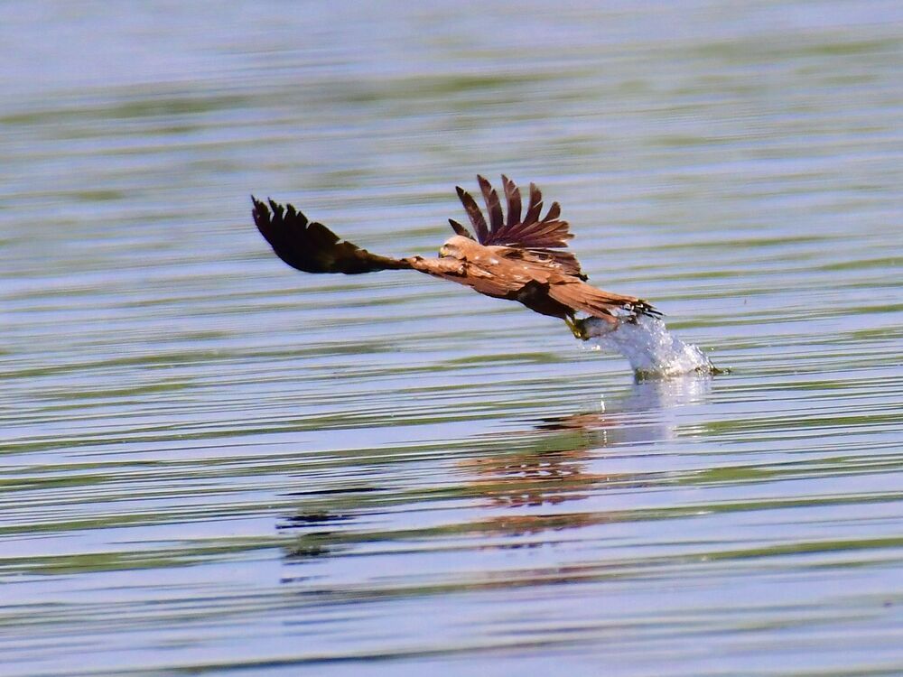 Photograph by Николай Абакумов