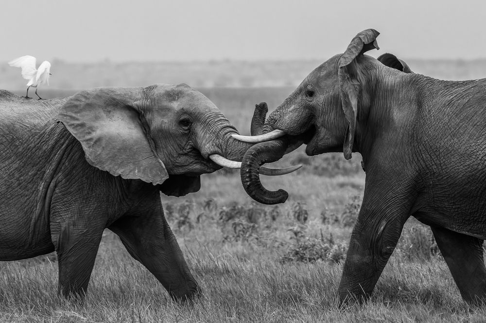 Photograph by Nikolay Slutskiy