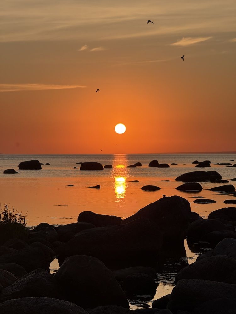 Photograph by Бондаренко Светлана