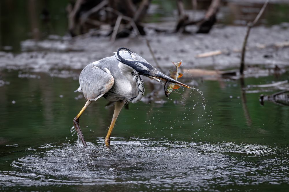 Photograph by Антон Науменко