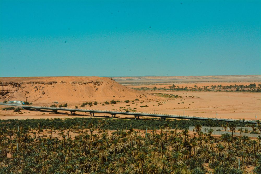 Photograph by Lani Mohammed