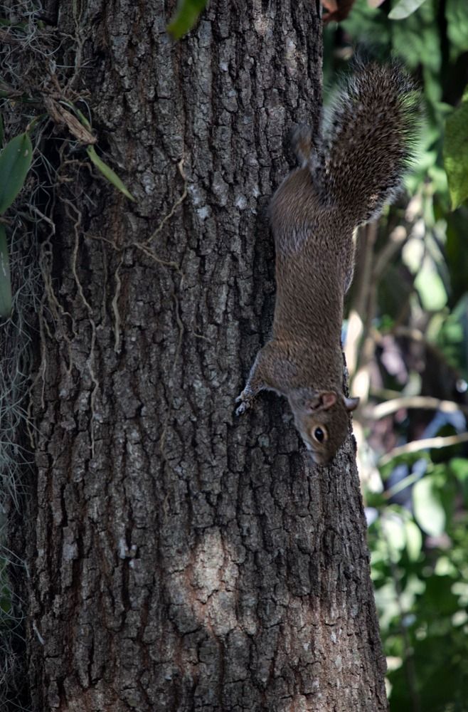 Фотография автора Татьяна Анпилова