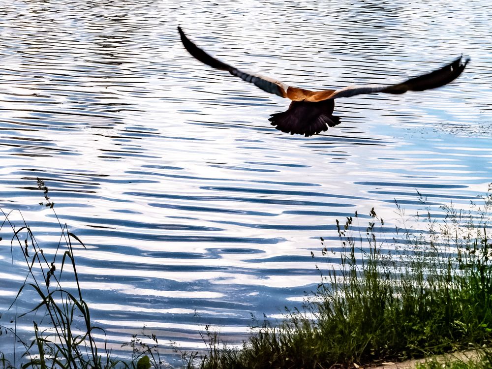 Photograph by Руслан Ибрагимов