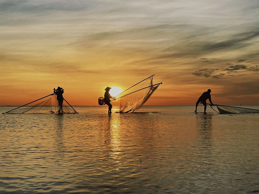 Photograph by Thịnh Nguyễn