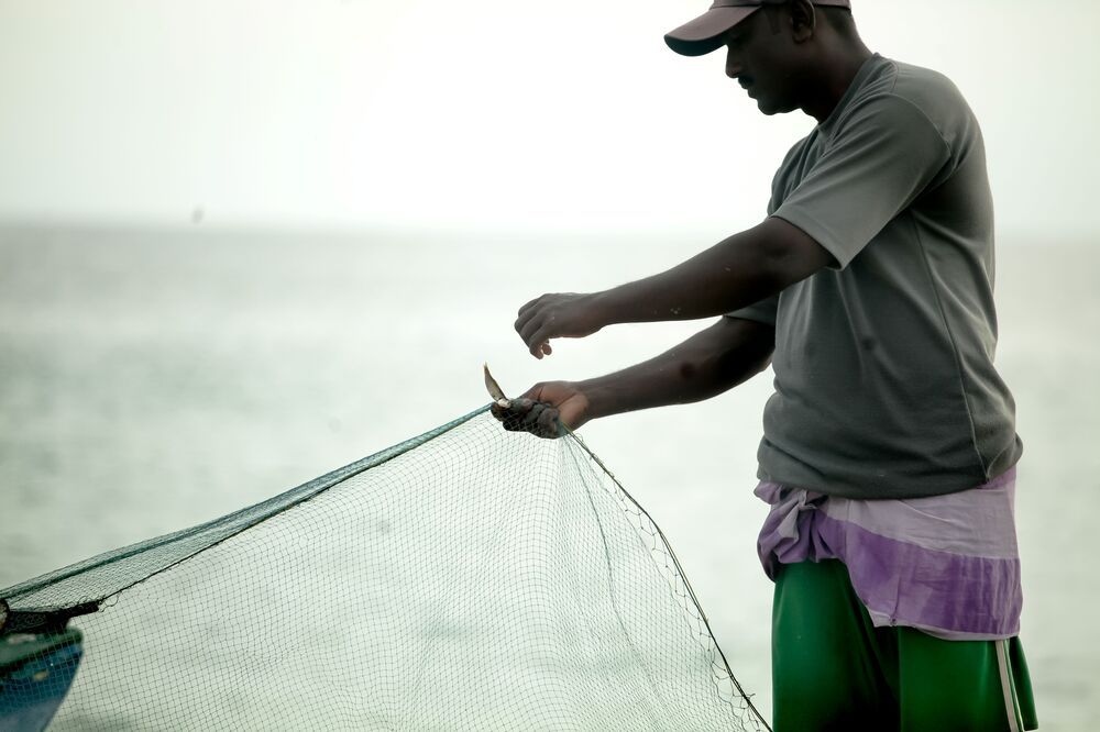 Photograph by Suthakaran Gokulananthan