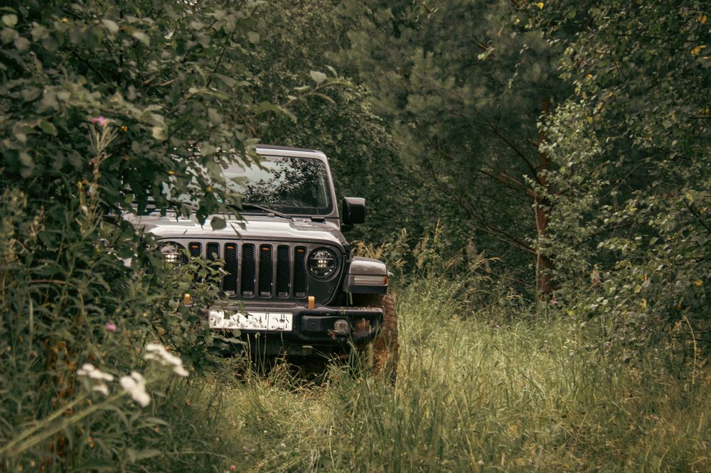 Фотография автора  Мария