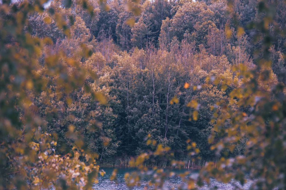 Фотография автора  Мария