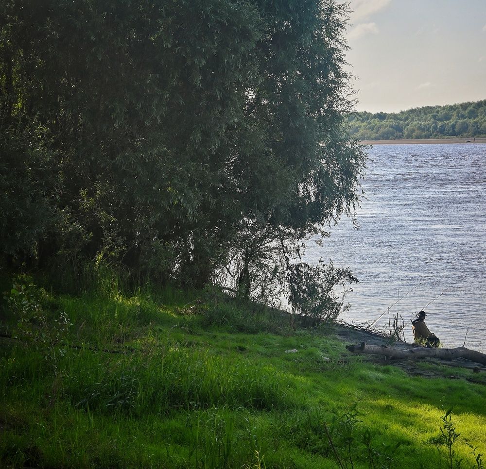 Photograph by Алевтина