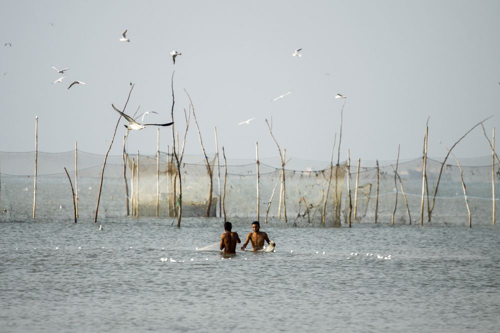 Photograph by Amir hossein Khorgooei