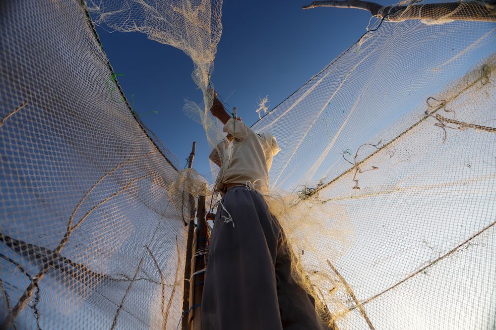 Photograph by Amir hossein Khorgooei