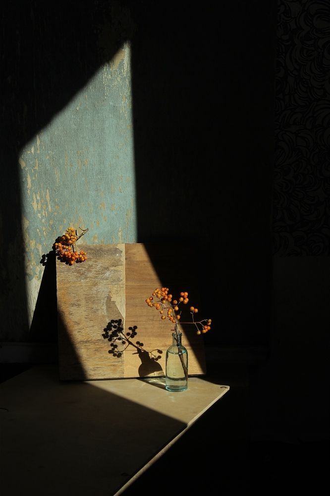 Photograph by Валентина Евсеева