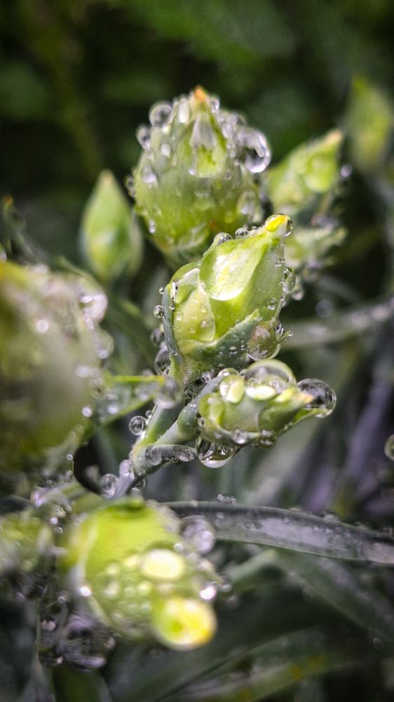 Photograph by Татьяна Кириллова