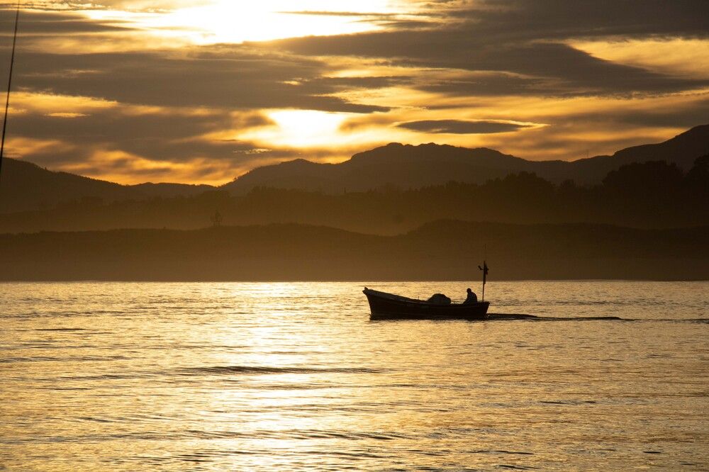 Фотография автора Алексей Головатый