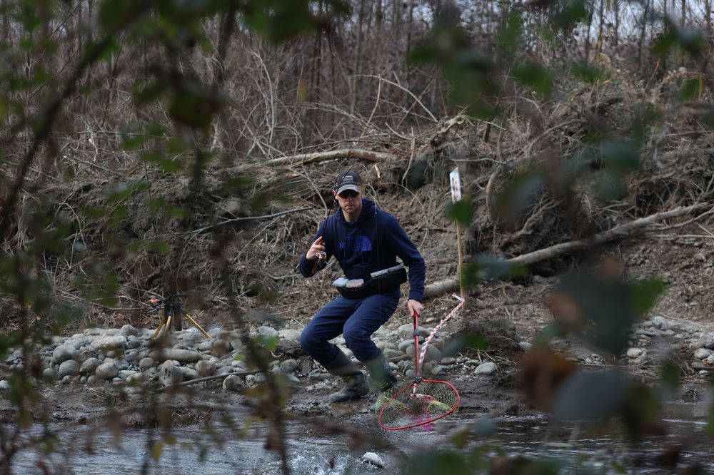 Фотография автора Fallen Angel