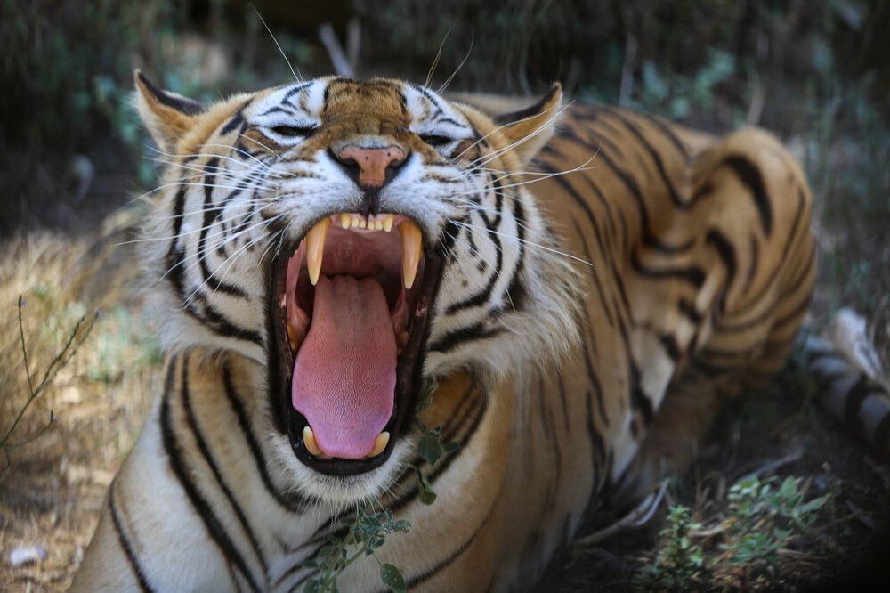 Photograph by MOHAMED ELYES MEDDAH