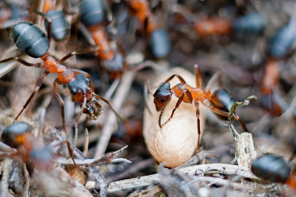 Photograph by Михаил Косолапов