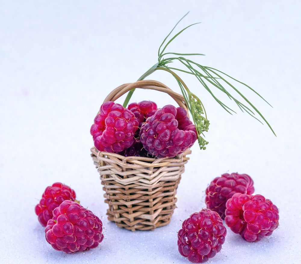 Photograph by Любовь Бусова