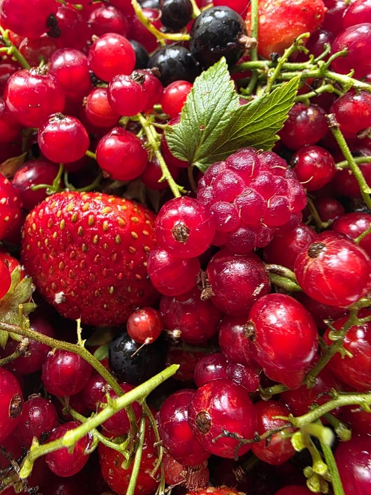 Photograph by Куделенко Оксана