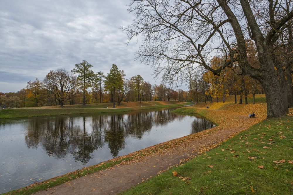 Фотография автора Андрей Игнатов