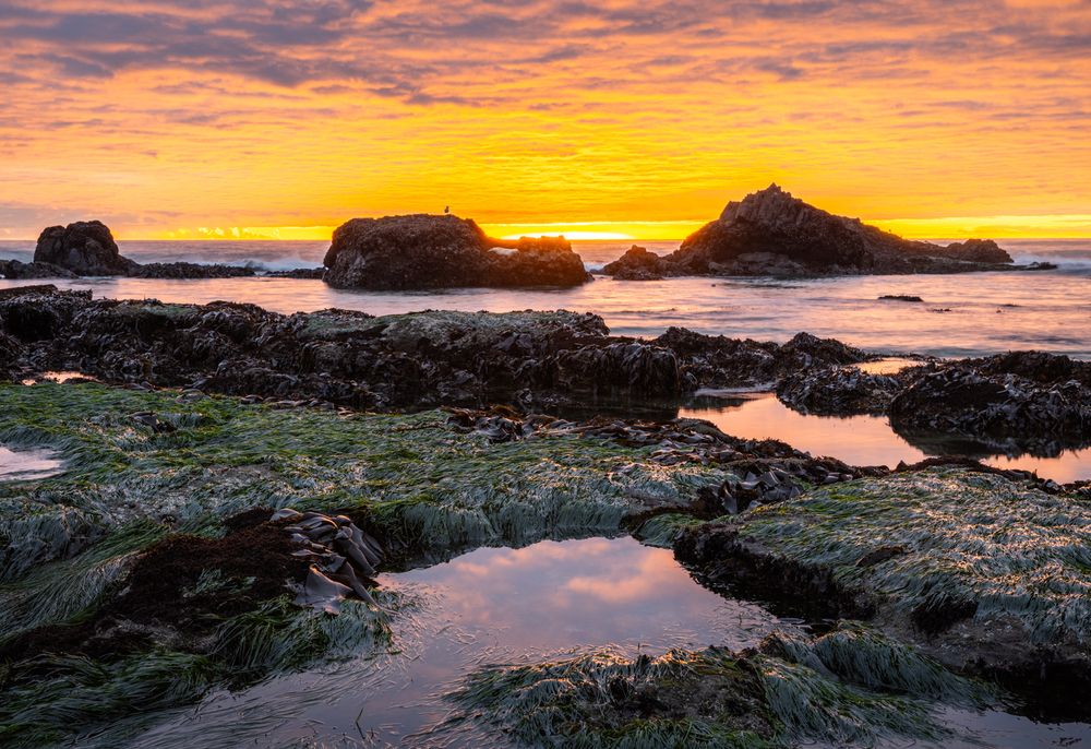 Photograph by Лозицкий Александр