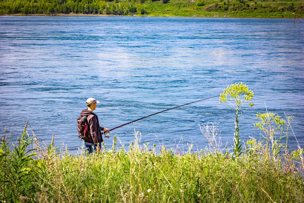 Photograph by Владимир Сушкин