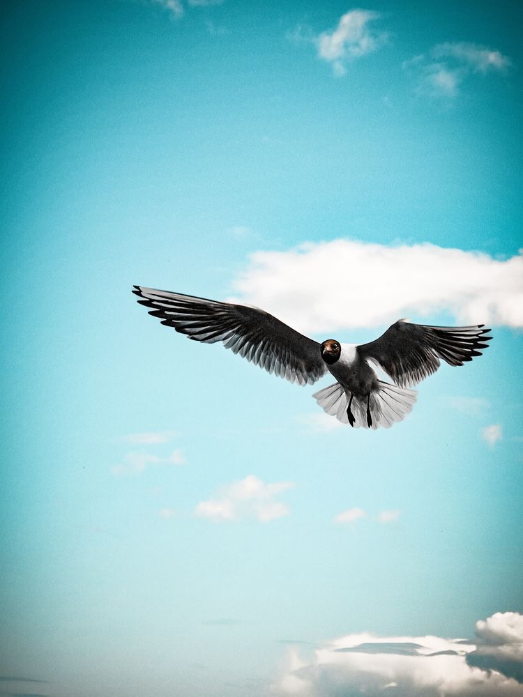 Фотография автора Евгений Былков