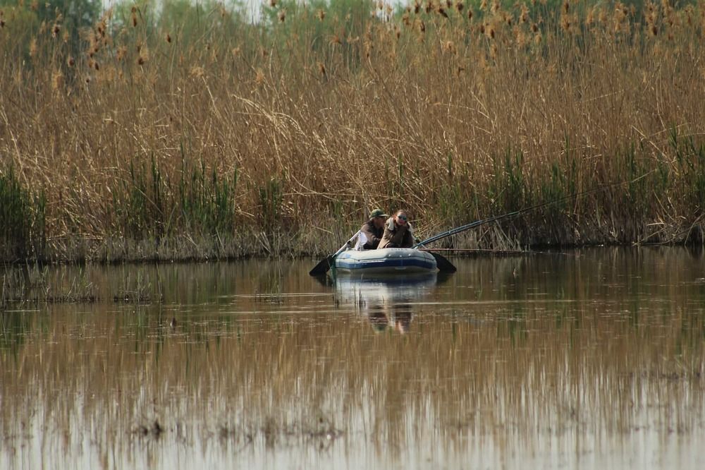 Фотография автора Mariami Sanishvili