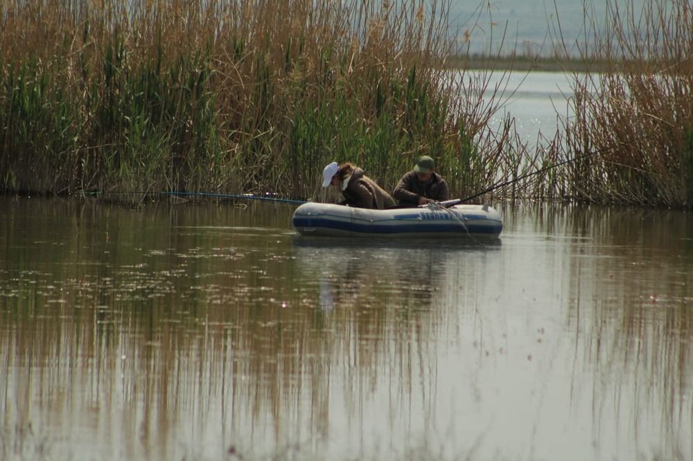 Фотография автора Mariami Sanishvili