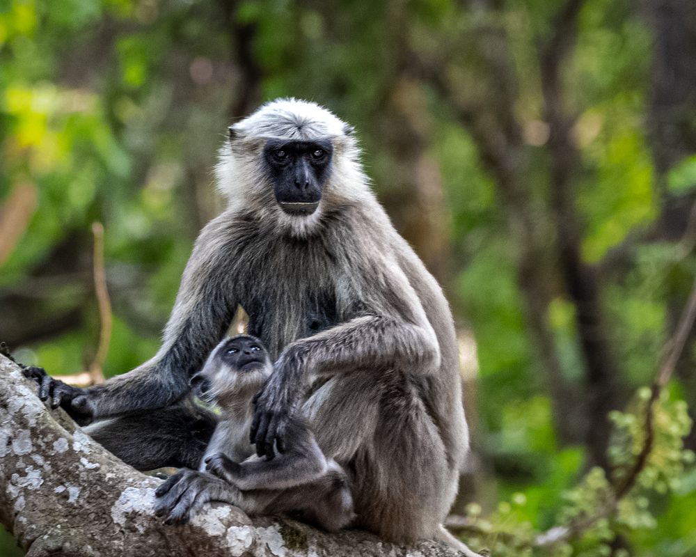 Photograph by Елена Захарова