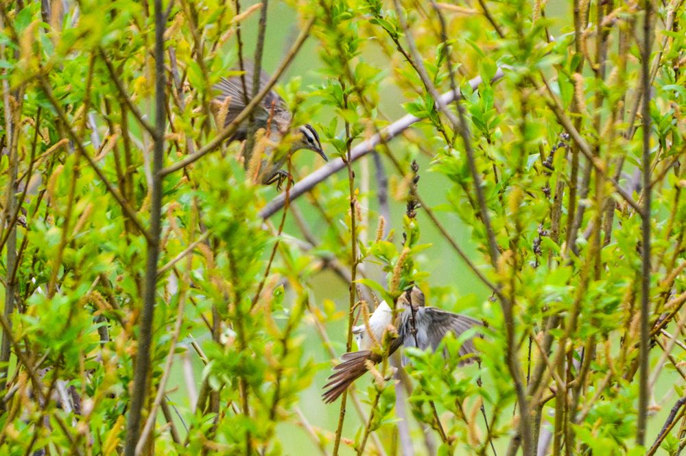 Photograph by Анастасия Гурова