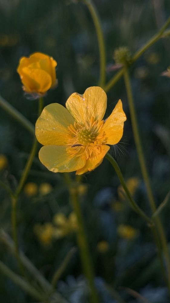 Photograph by Елена Гущина