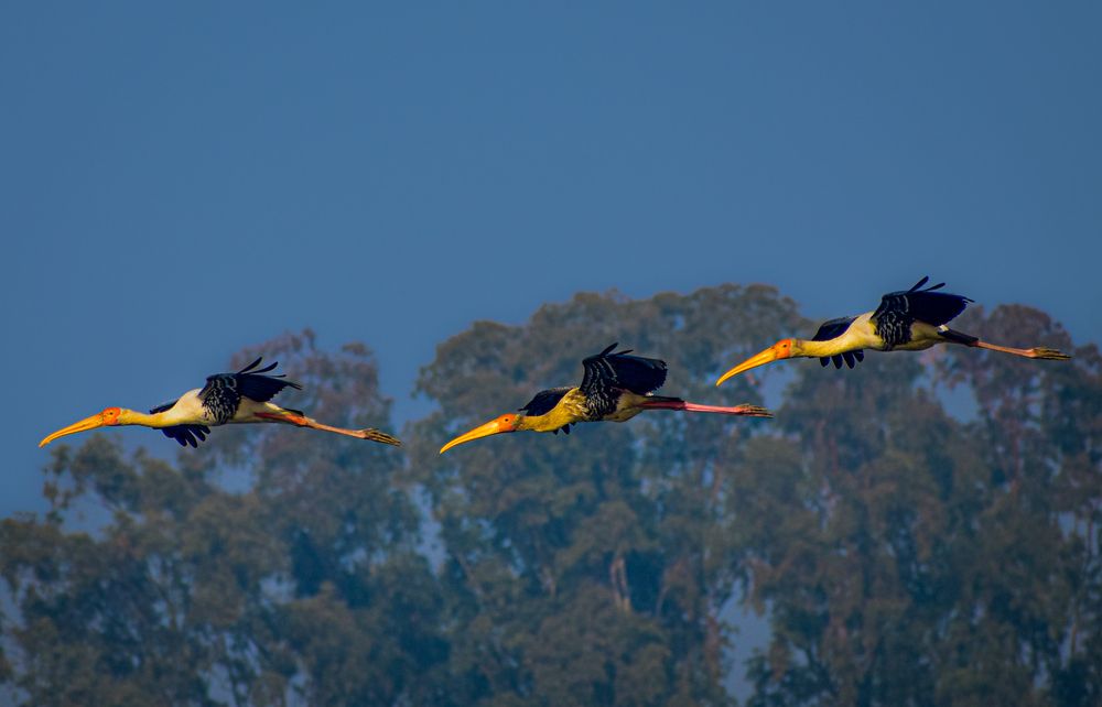 Photograph by Reyaansh Mittal