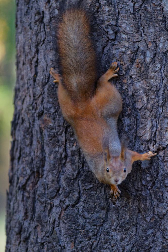 Photograph by Денис Горелов