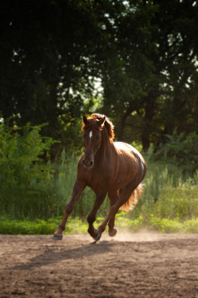 Photograph by Lubov Kirsanova