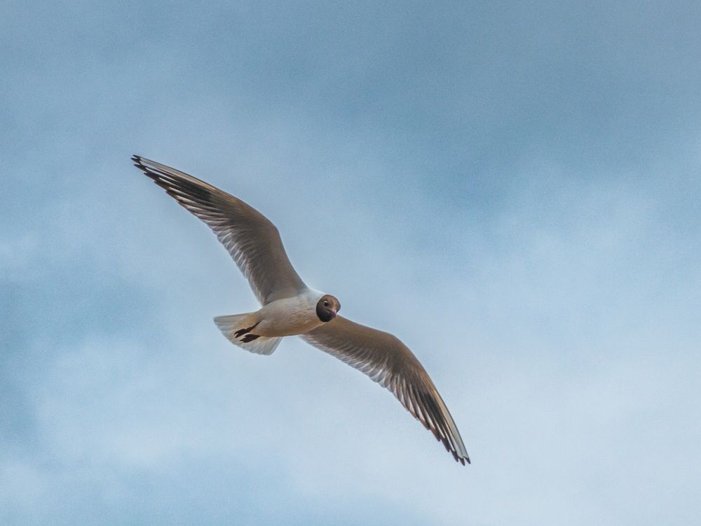 Photograph by Игорь Кабанов