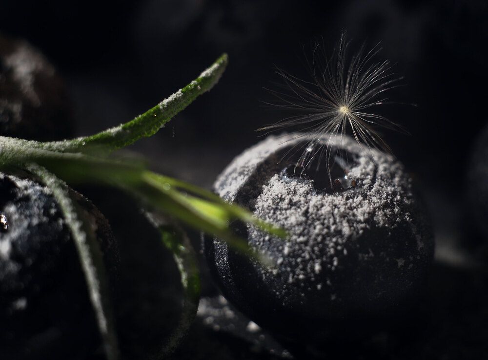 Photograph by Ольга Колобова