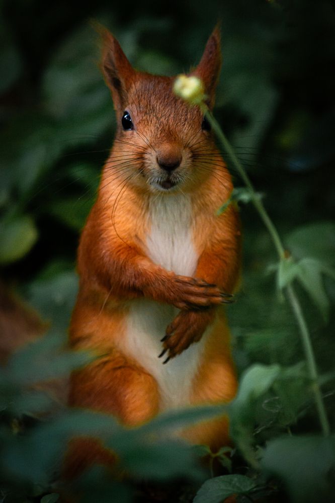 Photograph by Данил Баглаев