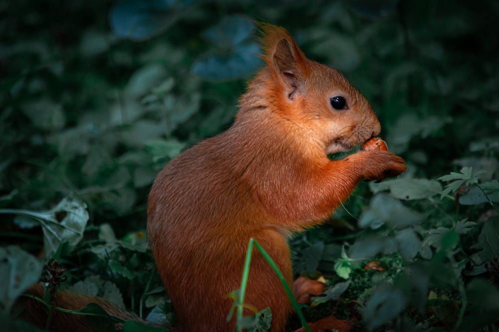 Photograph by Данил Баглаев