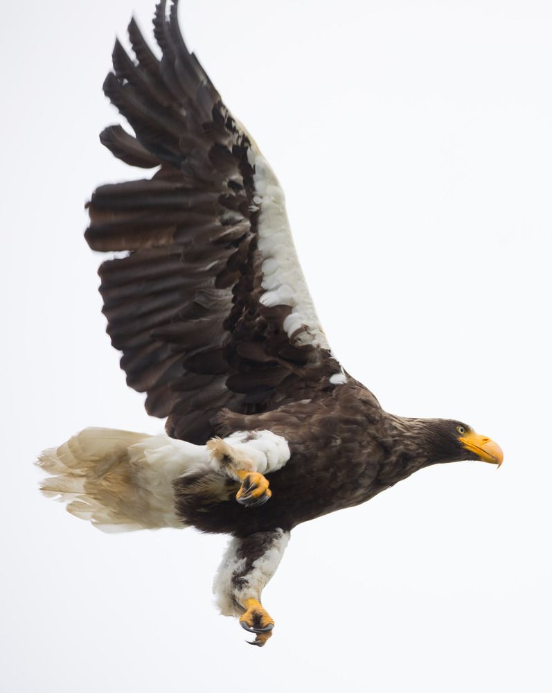 Фотография автора Юлия Егорова