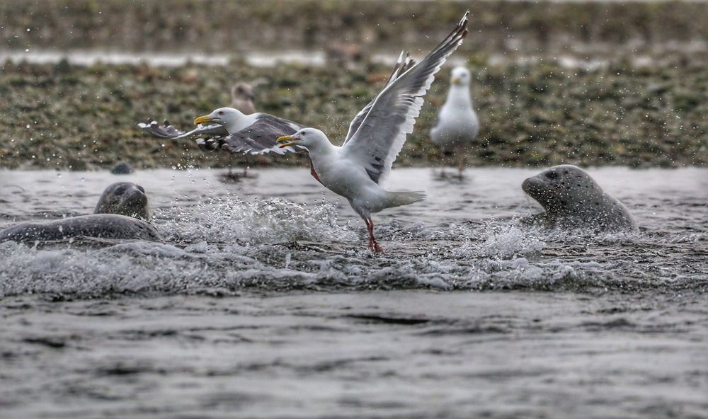 Фотография автора Юлия Егорова