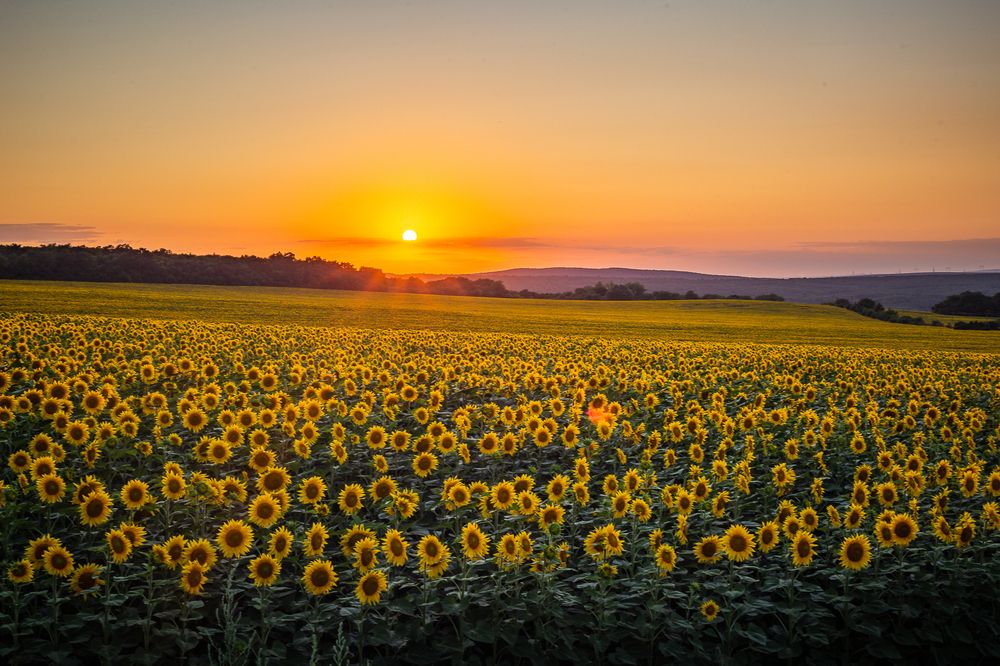 Photograph by Филипп Бабенко