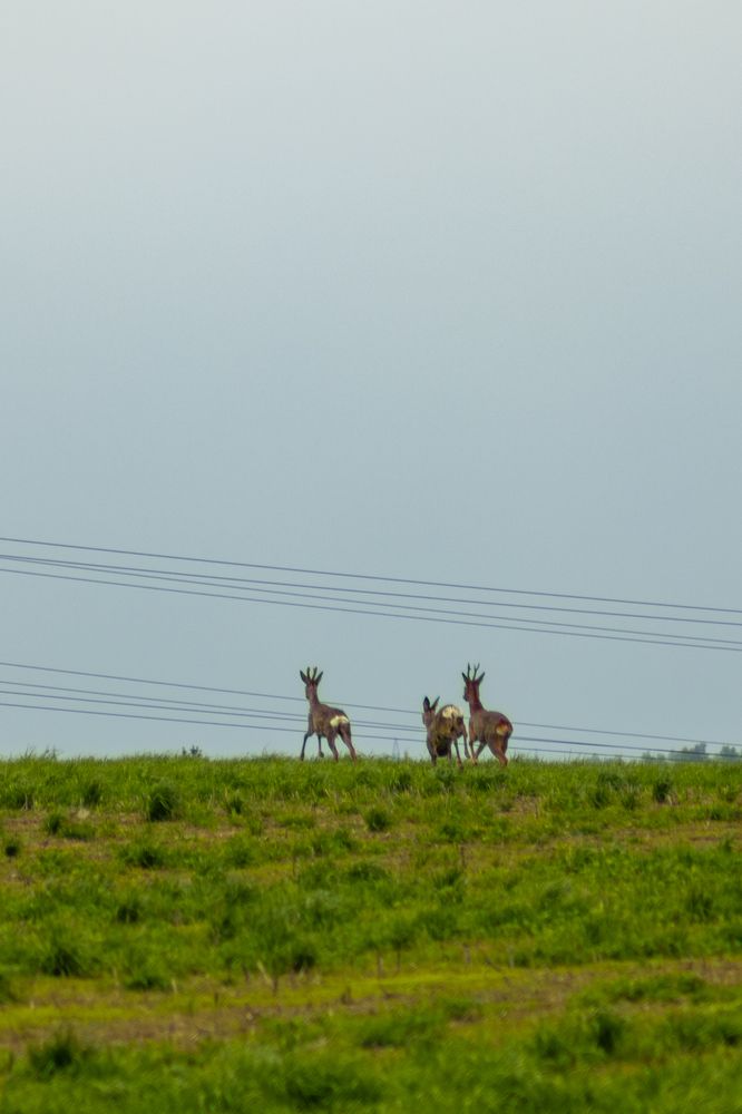Фотография автора Aamoda Kitchen
