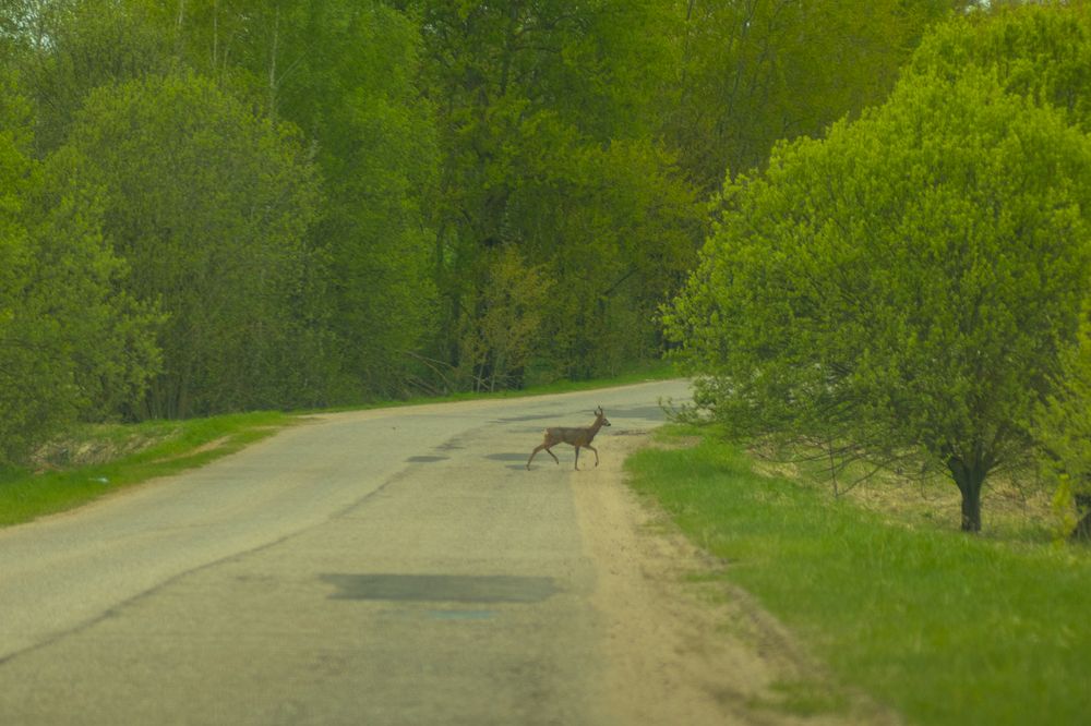 Фотография автора Aamoda Kitchen