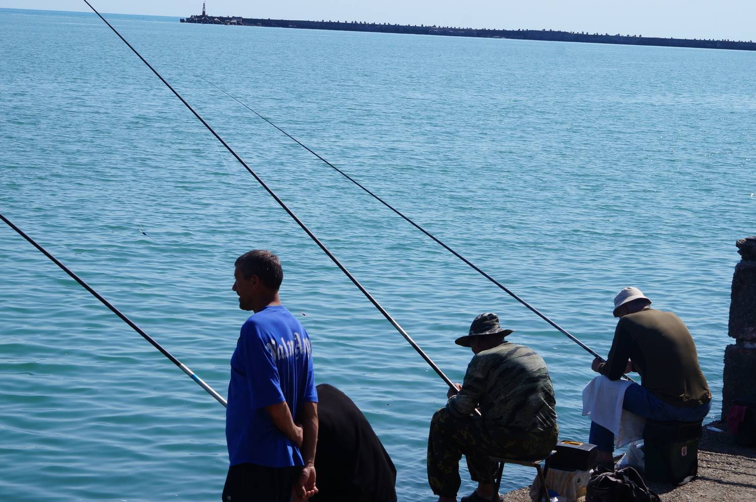 Photo #12385929