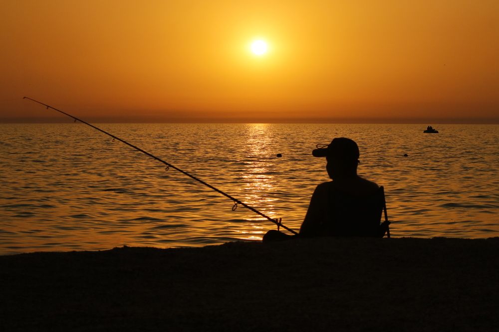 Photograph by Александр Велигура