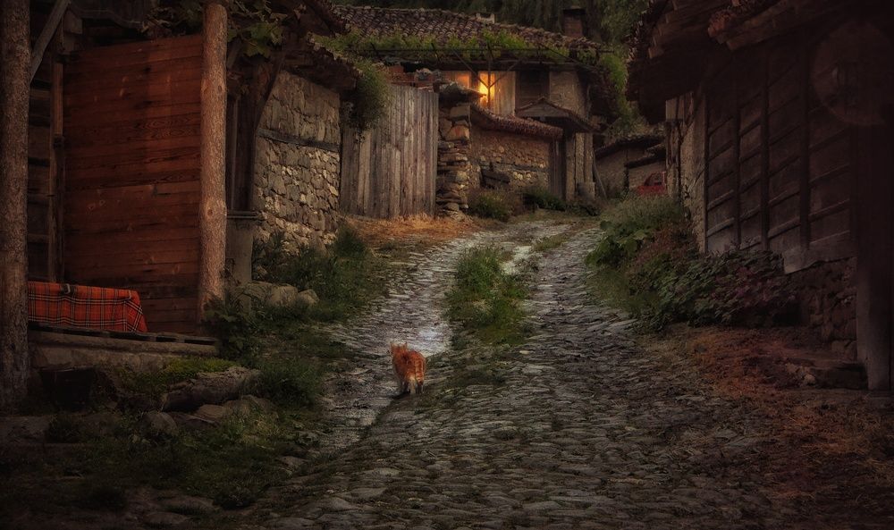 Фотография автора Юлияна Стоянова