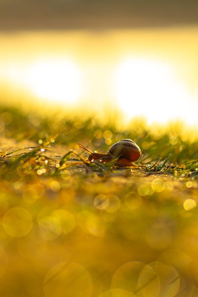 Фотография автора Aamoda Kitchen