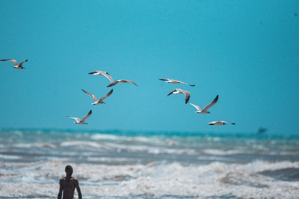 Photograph by Charlemagne Louvensky Wisner